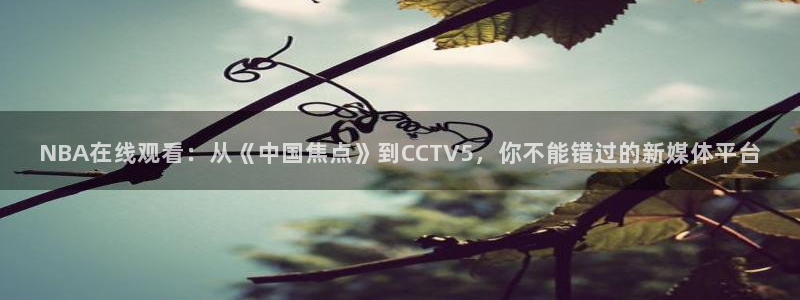 NBA在线观看：从《中国焦点》到CCTV5，你不能错过的新媒体平台
