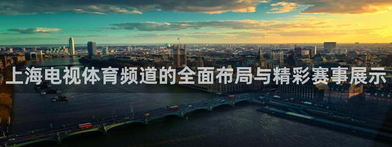 上海电视体育频道的全面布局与精彩赛事展示