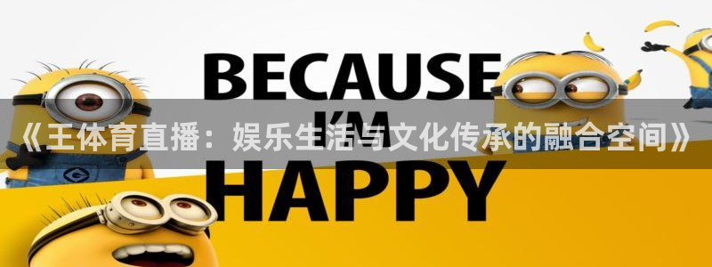 《王体育直播：娱乐生活与文化传承的融合空间》