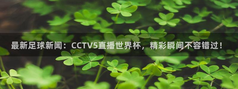 最新足球新闻：CCTV5直播世界杯，精彩瞬间不容错过！