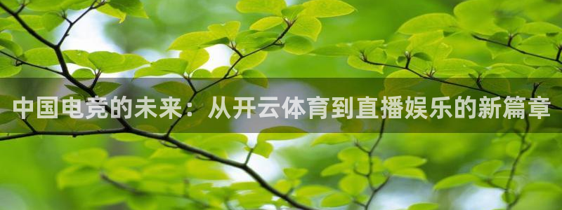 中国电竞的未来：从开云体育到直播娱乐的新篇章