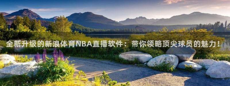 全新升级的新浪体育NBA直播软件：带你领略顶尖球员的魅力！