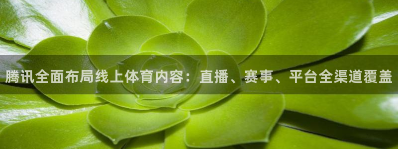 腾讯全面布局线上体育内容：直播、赛事、平台全渠道覆盖