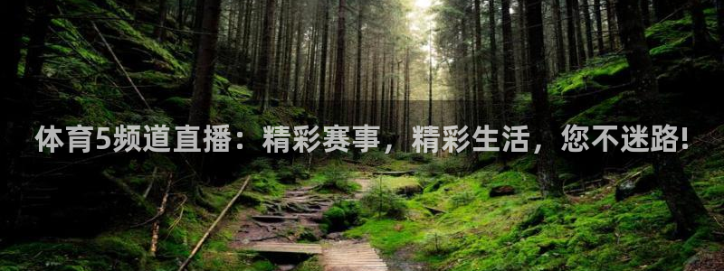 体育5频道直播：精彩赛事，精彩生活，您不迷路!