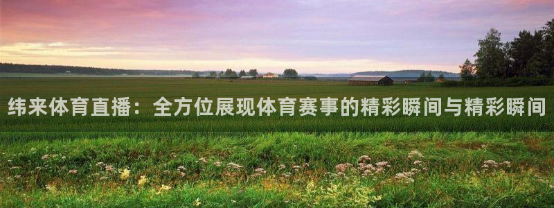 纬来体育直播：全方位展现体育赛事的精彩瞬间与精彩瞬间