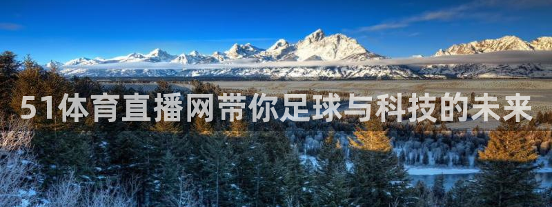 51体育直播网带你足球与科技的未来