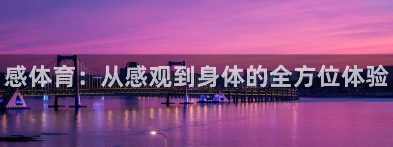 感体育：从感观到身体的全方位体验