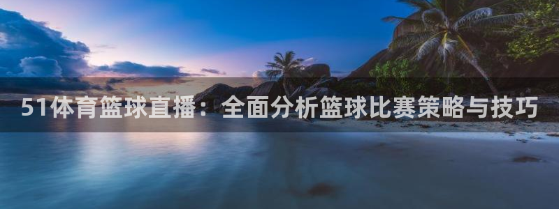 51体育篮球直播：全面分析篮球比赛策略与技巧