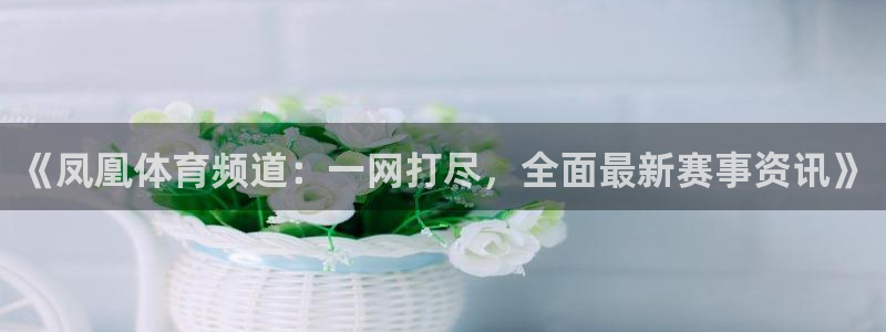 《凤凰体育频道：一网打尽，全面最新赛事资讯》