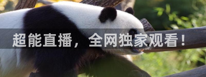 超能直播，全网独家观看！