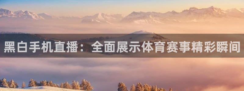 黑白手机直播：全面展示体育赛事精彩瞬间