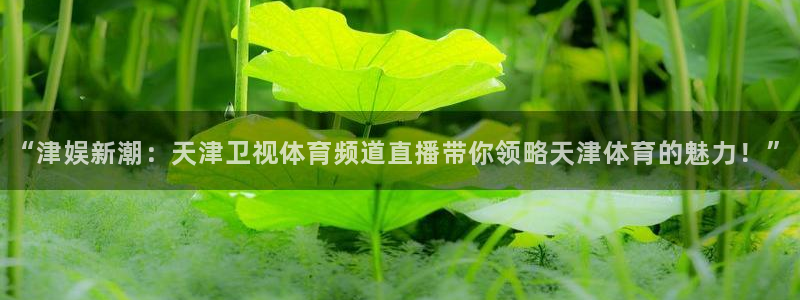 “津娱新潮：天津卫视体育频道直播带你领略天津体育的魅力！”
