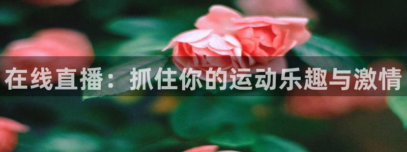 在线直播：抓住你的运动乐趣与激情