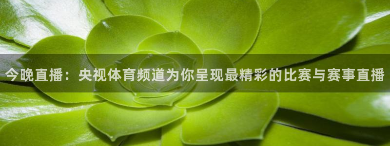 今晚直播：央视体育频道为你呈现最精彩的比赛与赛事直播