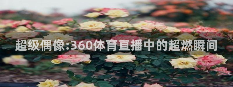 超级偶像:360体育直播中的超燃瞬间