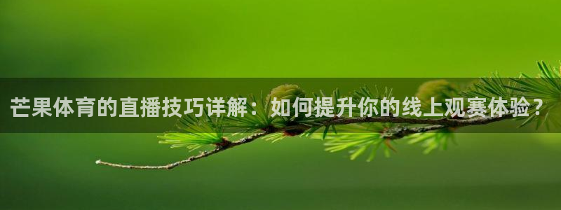 芒果体育的直播技巧详解：如何提升你的线上观赛体验？