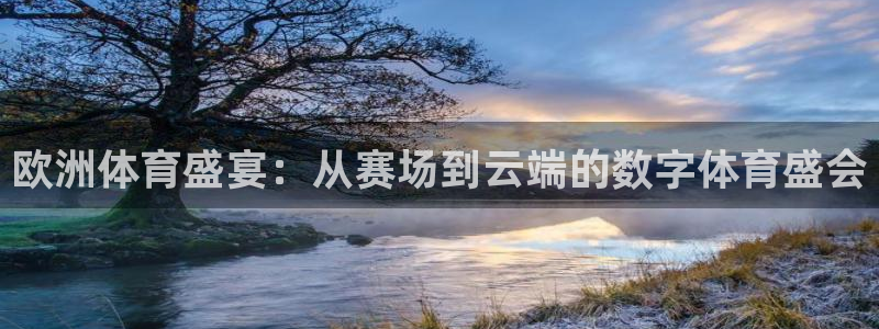 欧洲体育盛宴：从赛场到云端的数字体育盛会