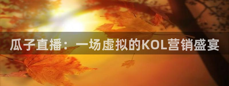 瓜子直播：一场虚拟的KOL营销盛宴
