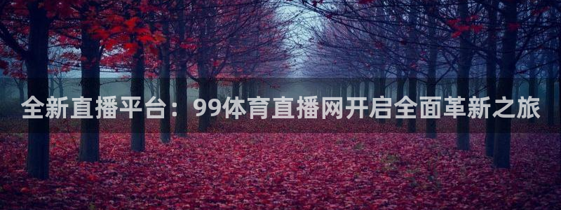 全新直播平台：99体育直播网开启全面革新之旅