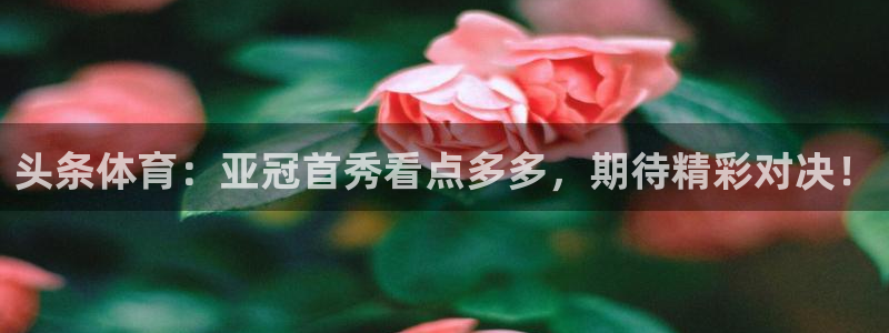 头条体育：亚冠首秀看点多多，期待精彩对决！