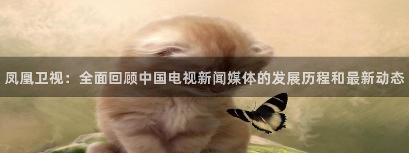 凤凰卫视：全面回顾中国电视新闻媒体的发展历程和最新动态