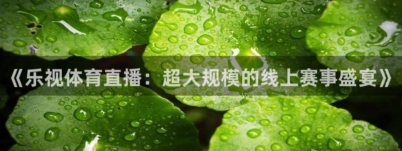 《乐视体育直播：超大规模的线上赛事盛宴》