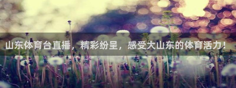 山东体育台直播，精彩纷呈，感受大山东的体育活力！