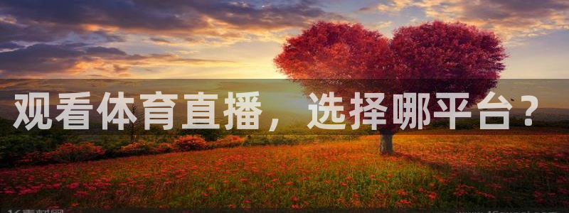 观看体育直播，选择哪平台？