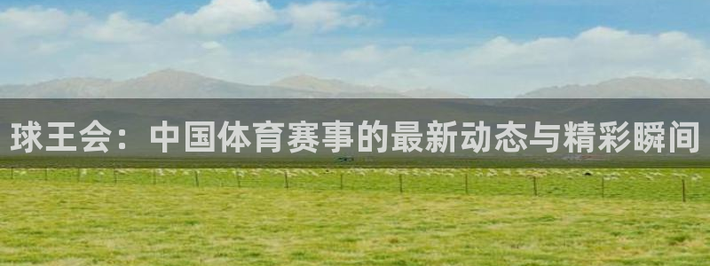球王会：中国体育赛事的最新动态与精彩瞬间