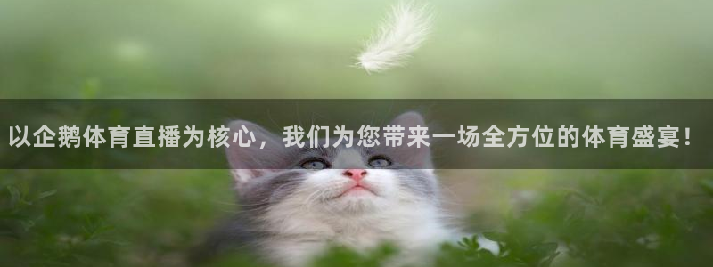 以企鹅体育直播为核心，我们为您带来一场全方位的体育盛宴！