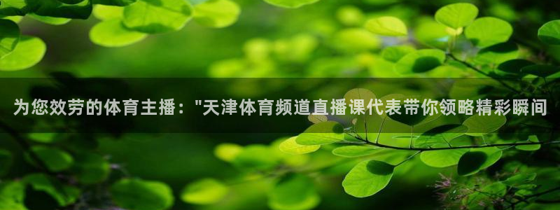 为您效劳的体育主播：\