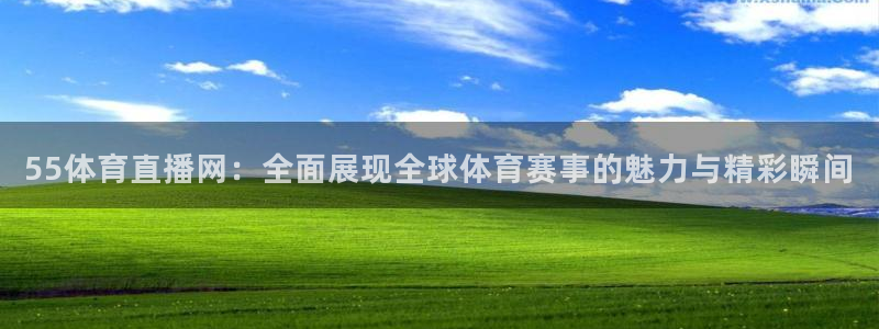 55体育直播网：全面展现全球体育赛事的魅力与精彩瞬间