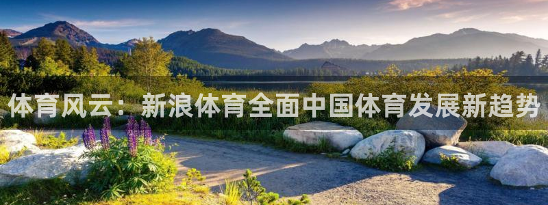 体育风云：新浪体育全面中国体育发展新趋势