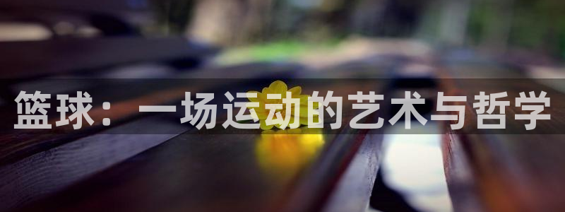 篮球：一场运动的艺术与哲学