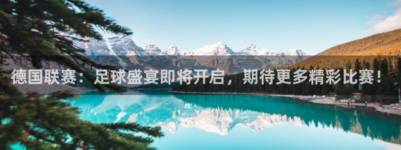 德国联赛：足球盛宴即将开启，期待更多精彩比赛！