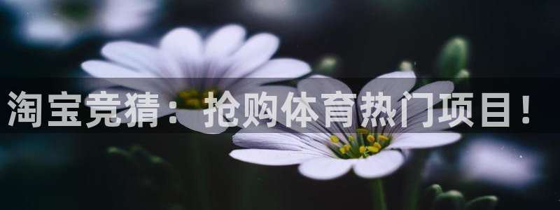 淘宝竞猜：抢购体育热门项目！