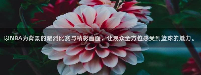 以NBA为背景的激烈比赛与精彩画面，让观众全方位感受到篮球的魅力。