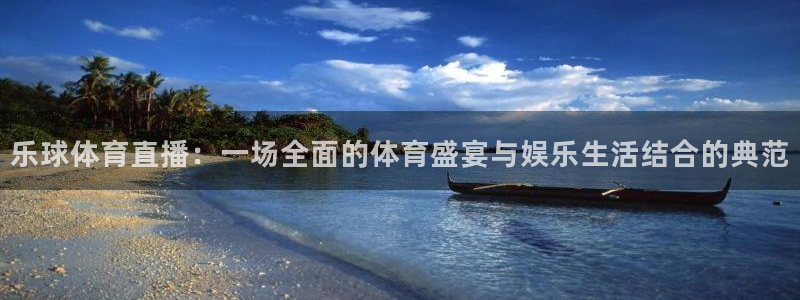 乐球体育直播：一场全面的体育盛宴与娱乐生活结合的典范