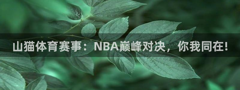 山猫体育赛事：NBA巅峰对决，你我同在!