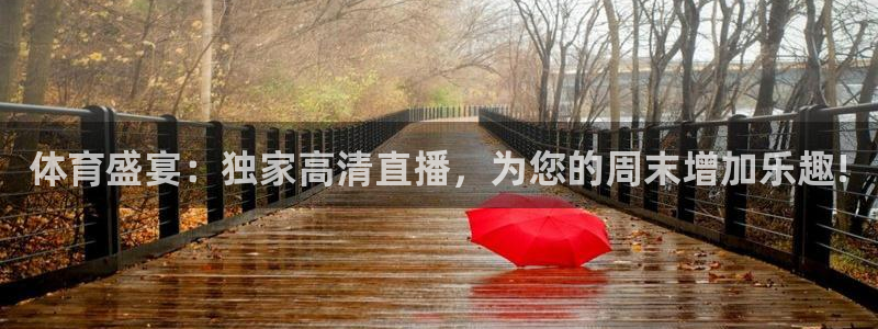 体育盛宴：独家高清直播，为您的周末增加乐趣!