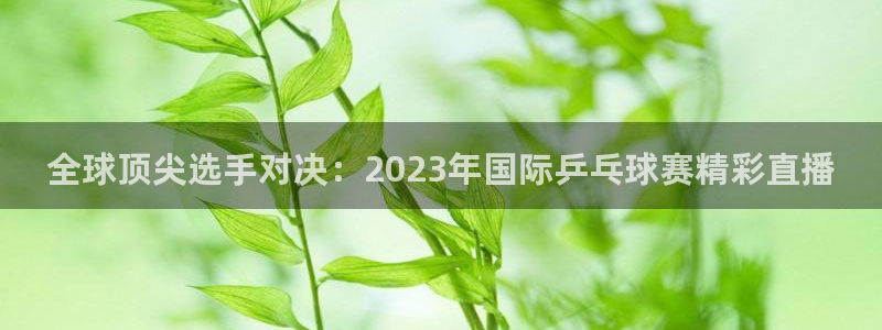 全球顶尖选手对决：2023年国际乒乓球赛精彩直播
