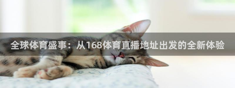 全球体育盛事：从168体育直播地址出发的全新体验
