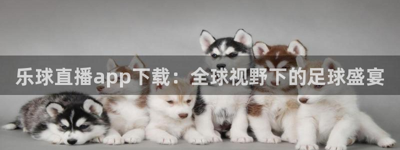 乐球直播app下载：全球视野下的足球盛宴