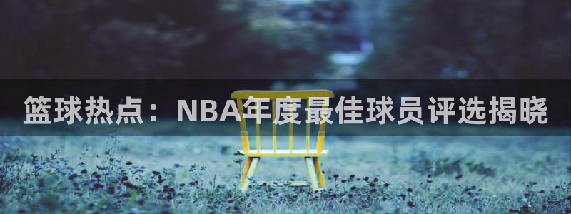 篮球热点：NBA年度最佳球员评选揭晓