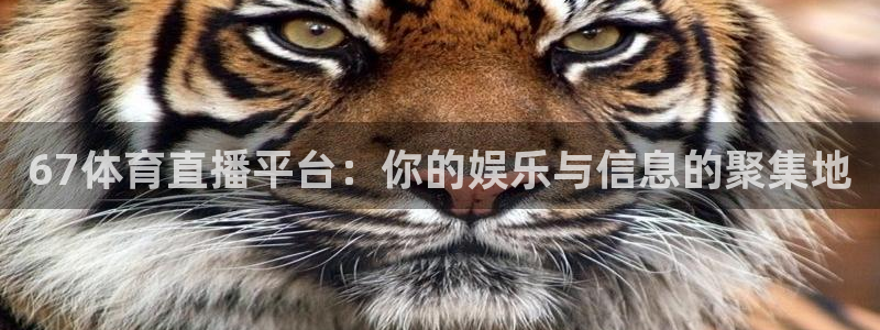 67体育直播平台：你的娱乐与信息的聚集地