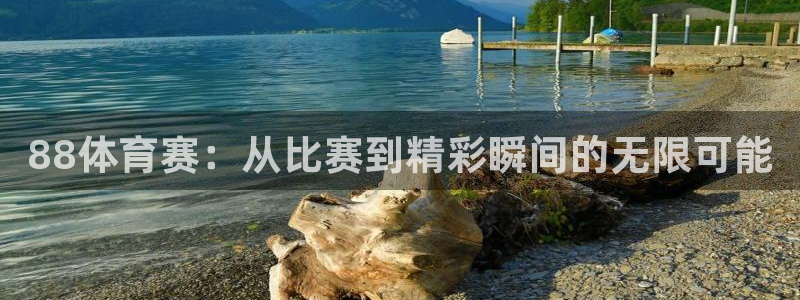 88体育赛：从比赛到精彩瞬间的无限可能