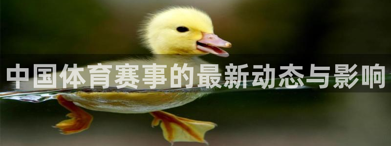 中国体育赛事的最新动态与影响