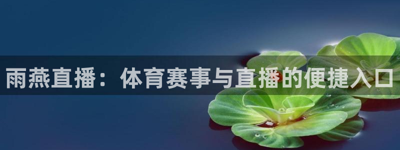雨燕直播：体育赛事与直播的便捷入口