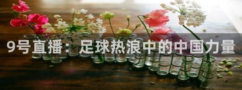 9号直播：足球热浪中的中国力量
