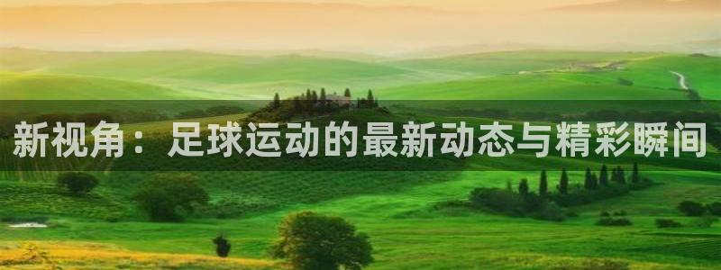 新视角：足球运动的最新动态与精彩瞬间